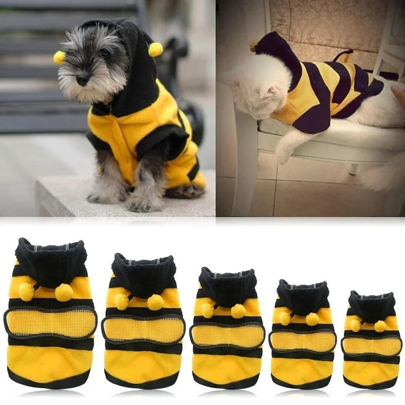 bee puppy costume, dog bee costume, bee dog outfit, puppy bee costume, dog costumes for Halloween, bumble bee dog coat, dog Halloween costume bee, cute dog costumes, pet bee costume, puppy costume for small dogs, bee outfit for dogs, bumble bee costume for dogs, dog apparel bee costume, Halloween pet costume, dog costume outfits​