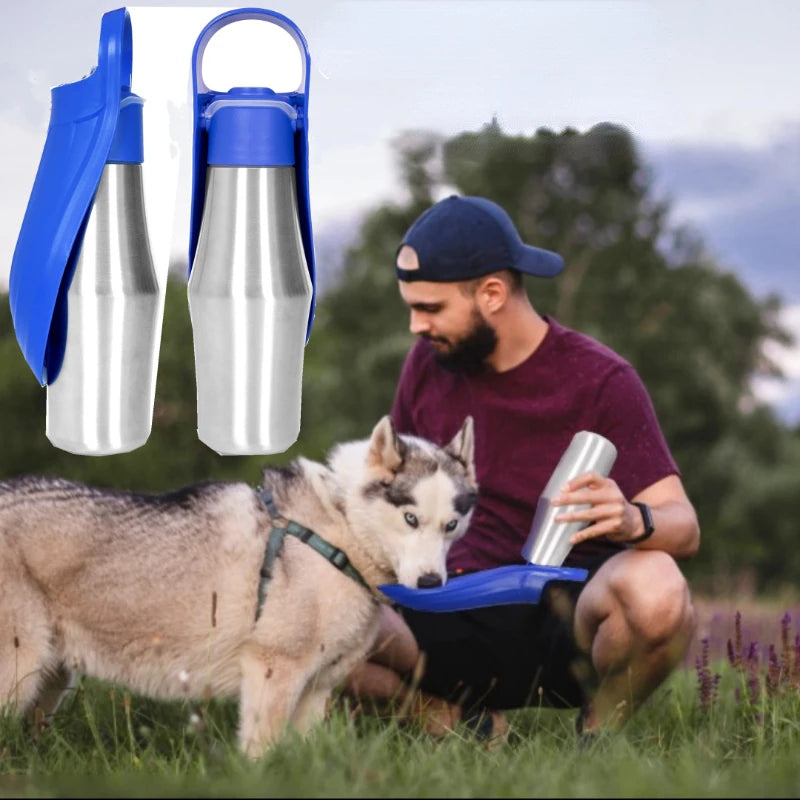 large stainless steel water bottle, insulated stainless steel water bottle, stainless steel sports water bottle, best stainless steel water bottle, stainless steel water bottle for travel, large capacity stainless steel bottle, leakproof stainless steel water bottle.