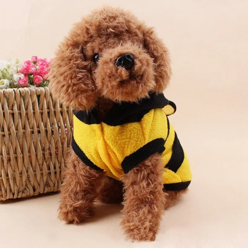 bee puppy costume, dog bee costume, bee dog outfit, puppy bee costume, dog costumes for Halloween, bumble bee dog coat, dog Halloween costume bee, cute dog costumes, pet bee costume, puppy costume for small dogs, bee outfit for dogs, bumble bee costume for dogs, dog apparel bee costume, Halloween pet costume, dog costume outfits​