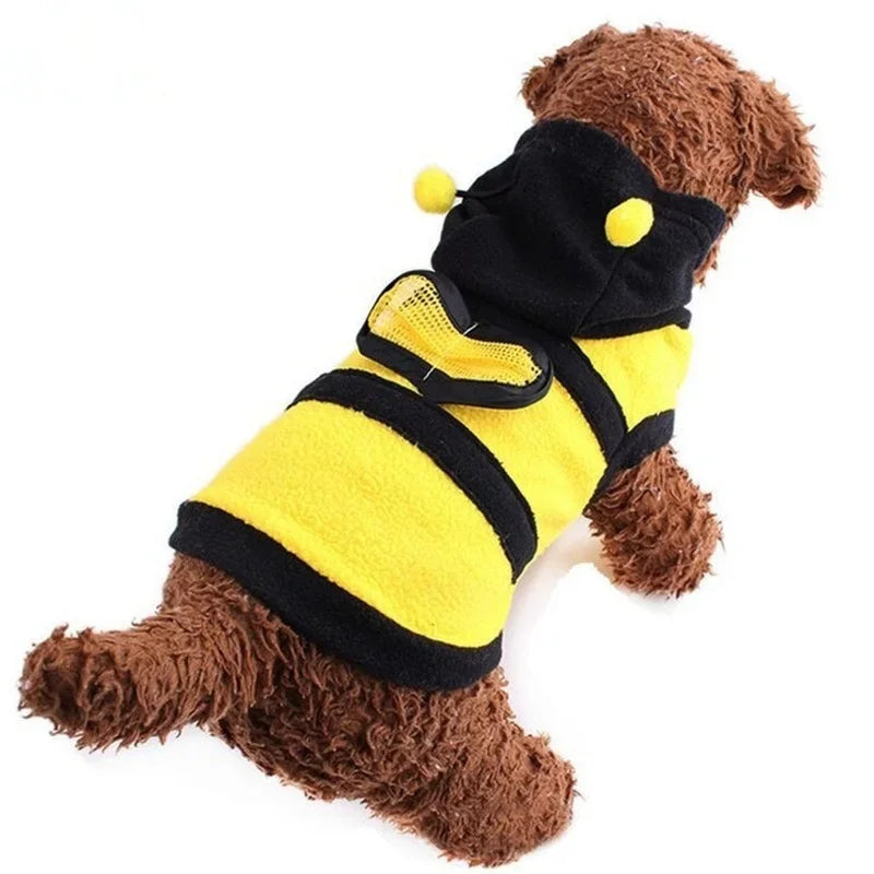 bee puppy costume, dog bee costume, bee dog outfit, puppy bee costume, dog costumes for Halloween, bumble bee dog coat, dog Halloween costume bee, cute dog costumes, pet bee costume, puppy costume for small dogs, bee outfit for dogs, bumble bee costume for dogs, dog apparel bee costume, Halloween pet costume, dog costume outfits​