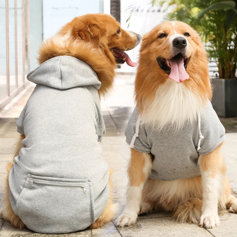 dog jacket for winter, jacket, best dog jackets for small dogs, dog coat for cold weather, stylish dog jackets, dog raincoat, dog jackets for large breeds, fleece dog jacket, lightweight dog jacket, dog jackets for small breeds, dog winter coat with hood, dog jacket size guide, dog jacket for outdoor adventures, dog jackets with pockets, affordable dog jackets.