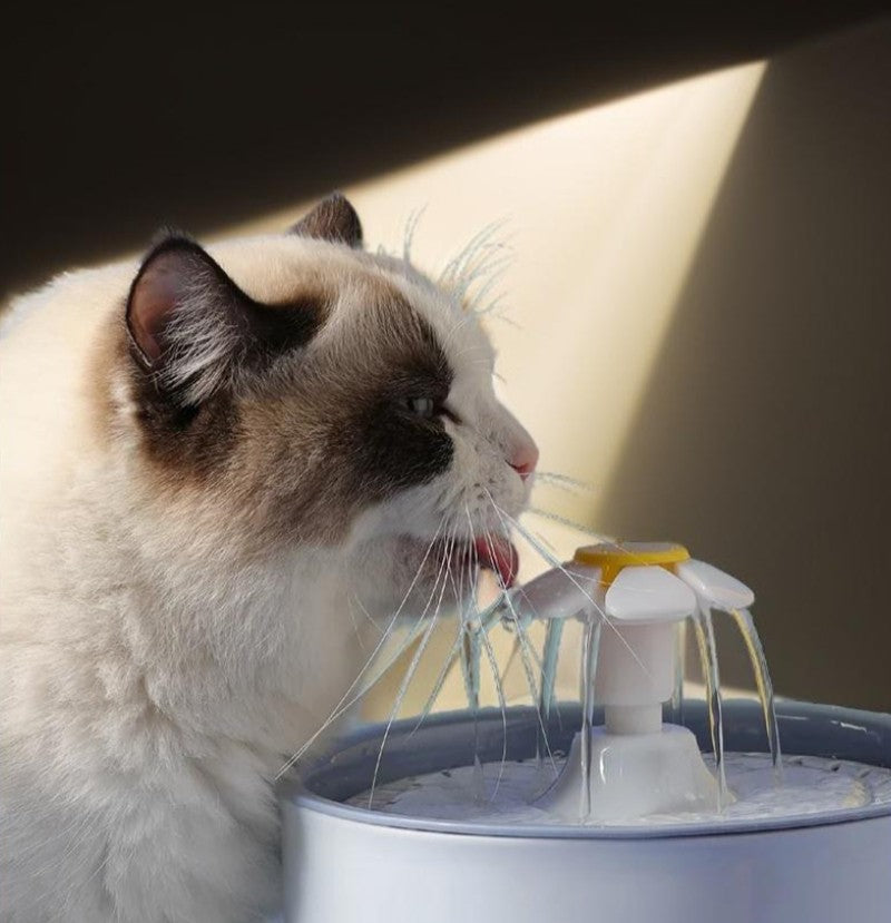 cat water fountain USB powered, best USB cat water fountains, quiet USB cat water fountain, USB cat water fountain reviews, USB cat water fountain filter replacement, USB pet water fountain for cats and dogs, energy-efficient USB cat water fountain, USB automatic cat water dispenser