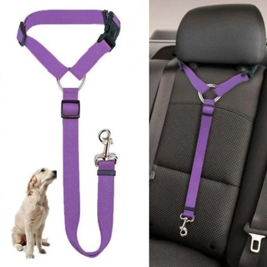 dog car harness, best dog car harness, crash-tested dog car harness, dog seat belt harness, adjustable dog car harness, dog harness for car travel, dog car safety harness, padded dog car harness, no-pull dog car harness, dog harness for large dogs, dog harness for small dogs, dog car harness reviews, dog car harness with seat belt, travel harness for dogs, dog safety harness for car