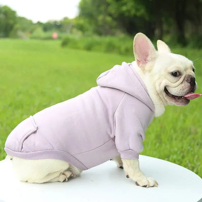 Warm Sweater for Dogs