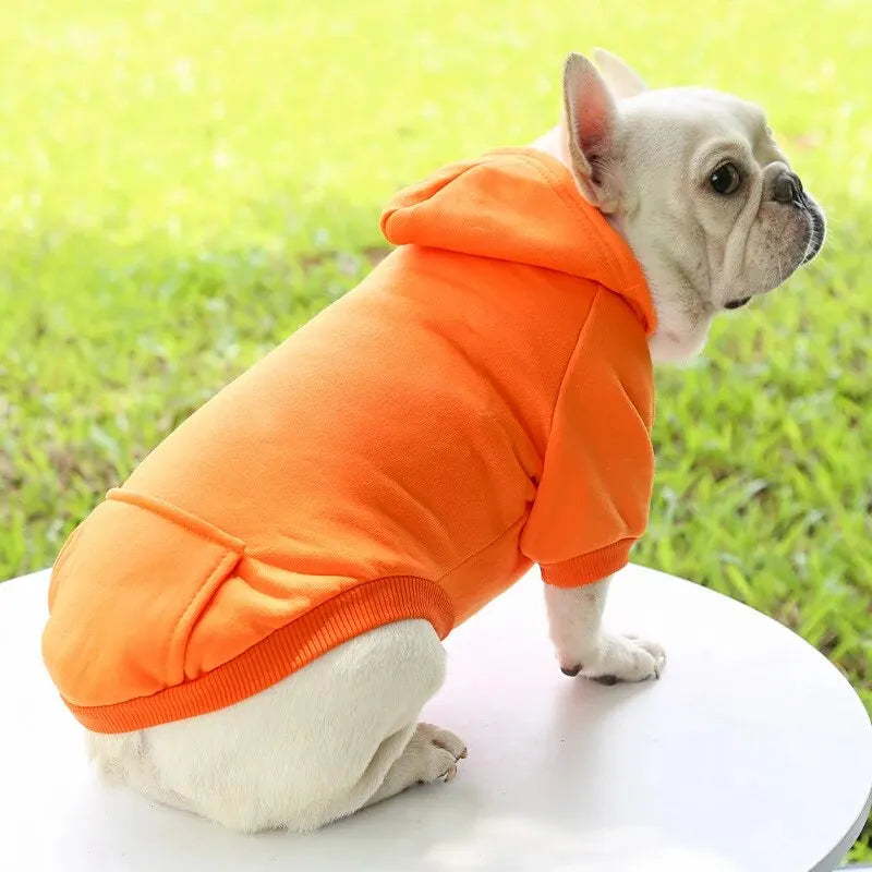 Warm Sweater for Dogs