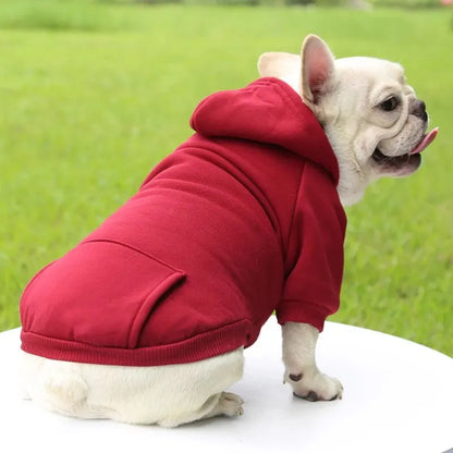 Warm Sweater for Dogs