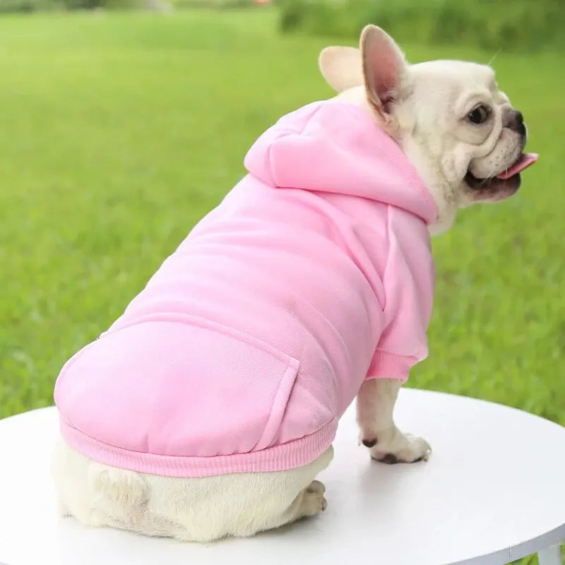 Warm Sweater for Dogs